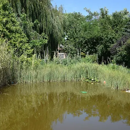 Luca Haza Feketeerdo