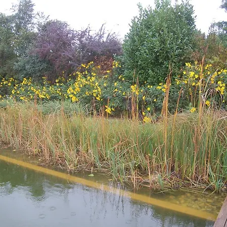 Luca Haza Feketeerdo