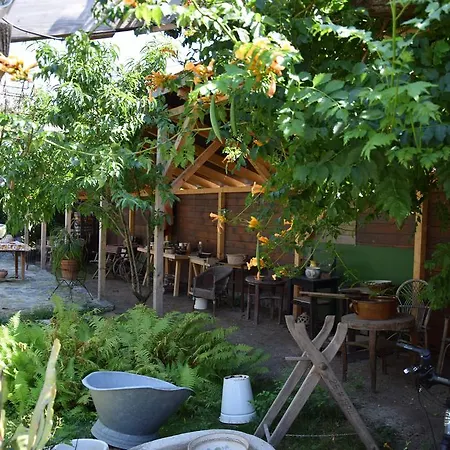 Guest house Luca Haza Panzio